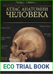 Атлас анатомии человека