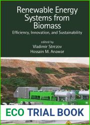 Renewable Energy Systems from Biomass Efficiency, Innovation, and Sustainability