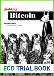 Grokking Bitcoin