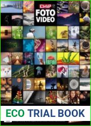 Chip Foto Video