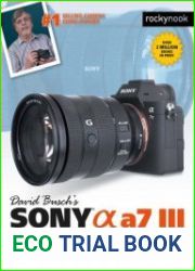 David Busch|s Sony Alpha a7 III Guide to Digital Photography (The David Busch Camera Guide)