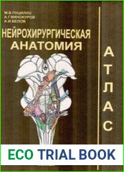 Нейрохирургическая анатомия. Атлас. Том II