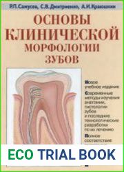 Основы клинической морфологии зубов