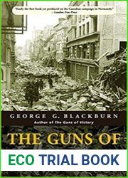 The Guns of Normandy A Soldier|s Eye View, France 1944