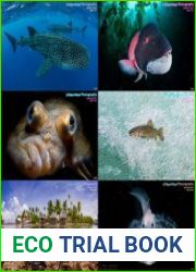 Underwater Photography