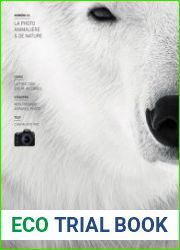 Phox Le Mag Photo