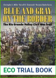 Blue and Gray on the Border The Rio Grande Valley Civil War Trail