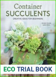 Container Succulents Creative Ideas for Beginners