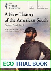 A New History of the American South