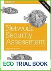 Network Security Assessment Know Your Network, 3rd Edition (Early Release)