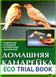 Домашняя канарейка
