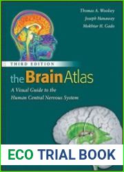 The Brain Atlas