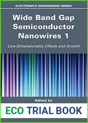 Wide Band Gap Semiconductor Nanowires for Optical Devices (Part 1,2)