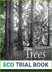 Trees in Black & White A Visual Tour