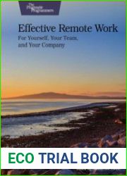 Effective Remote Work For Yourself, Your Team, and Your Company