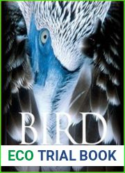 Bird The Definitive Visual Guide