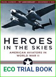 Heroes in the Skies American Aviators in World War II