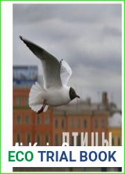 Птицы Санкт-Петербурга