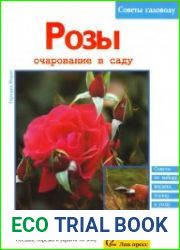 Розы. Очарование в саду