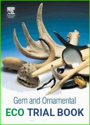 Gem and Ornamental Materials of Organic Origin