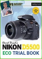 David Busch’s Nikon D5500 Guide to Digital SLR Photography, 1st Edition