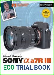 David Busch|s Sony Alpha a7R III Guide to Digital Photography