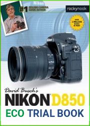 David Busch|s Nikon D850 Guide to Digital SLR Photography