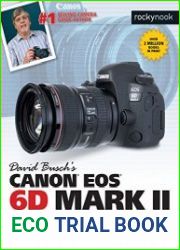 David Busch|s Canon EOS 6D Mark II Guide to Digital SLR Photography