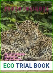 Photo Insights Issue