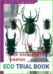 Los escarabajos vuelan al atardecer