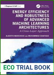 Energy Efficiency and Robustness of Advanced Machine Learning Architectures A Cross-Layer Approach