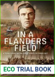 In a Flanders Field A Territorial Battalion at Ypres, October 1917