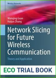 Network Slicing for Future Wireless Communication Theory and Application