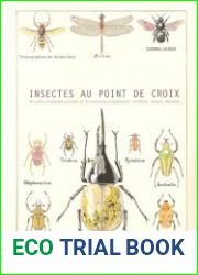 Insectes au point de croix