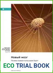 Новый мозг. Почему правое полушарие будет править миром. Саммари