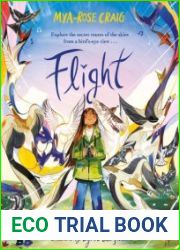 Flight Explore the Secret Routes of the Skies From a Bird