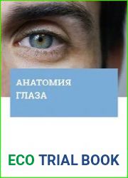 Анатомия глаза и его придаточного аппарата