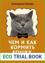Чем и как кормить кошку, чтобы не навредить