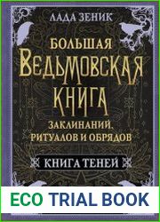 Большая ведьмовская книга заклинаний, ритуалов и обрядов. Магические практики. Книга Теней