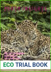Photo Insights Issue