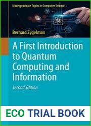 A First Introduction to Quantum Computing and Information 2nd Edition