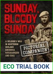 Sunday Bloody Sunday A Soldier
