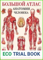 Большой атлас анатомии человека. Лучшие в мире анатомические таблицы