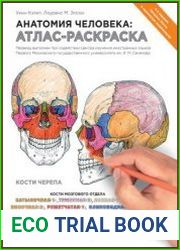 Анатомия человека Атлас-раскраска