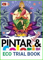 Pintar & Colorir Adultos - India