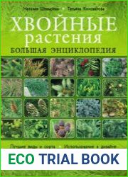 Хвойные растения Большая энциклопедия
