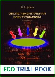 Экспериментальная электрофизика. Пучковые и лазерные системы. Книга 1. Электромагнитные системы