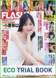 Flash