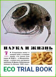 Наука и Жизнь
