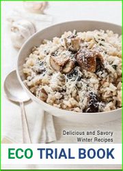Winter Cookbook Delicious and Savory Winter Recipes